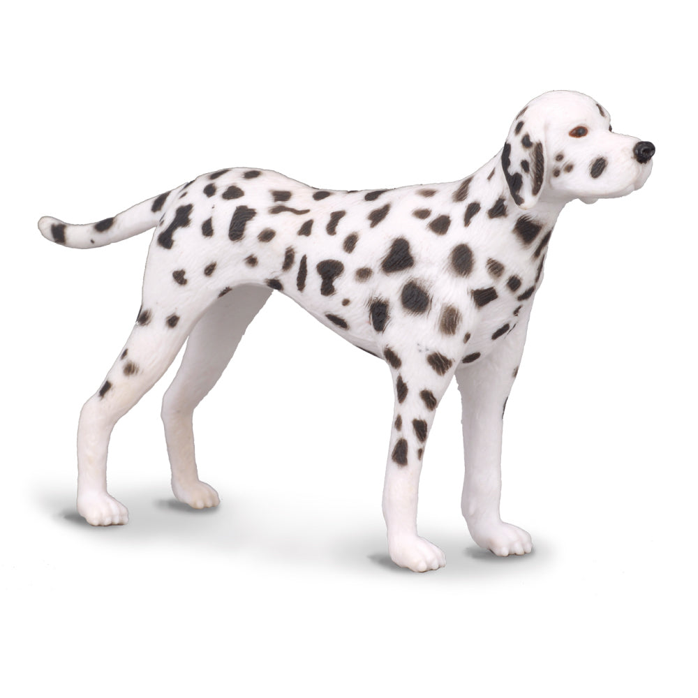 CollectA-Dalmatian