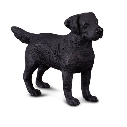 CollectA-Labrador Retriever