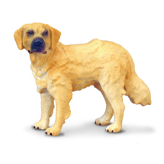 CollectA-Golden Retriever Dog