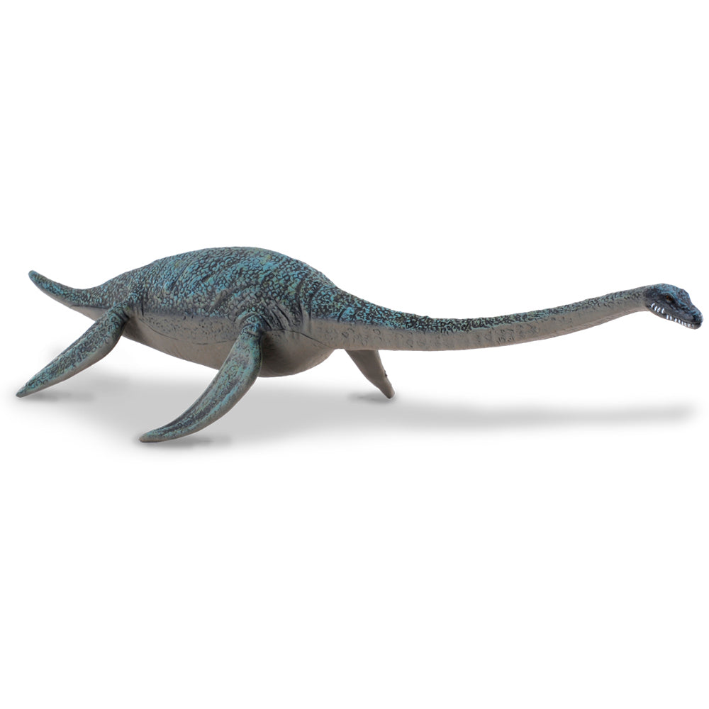 CollectA-Hydotherosaurus(L)