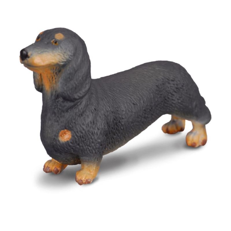 CollectA -Dachshund