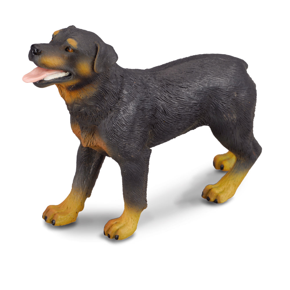 CollectA -Rottweiler
