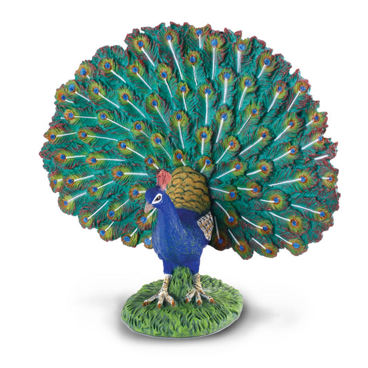 CollectA-Peacock