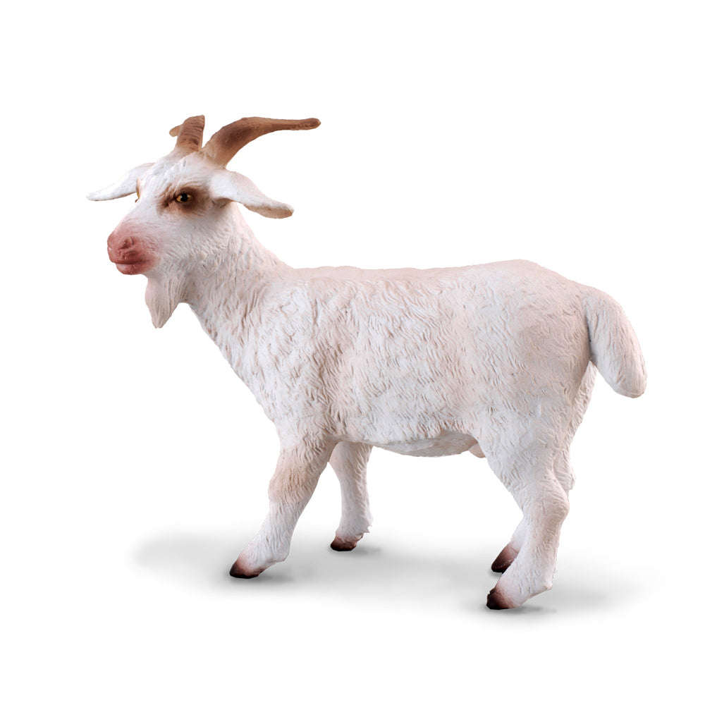 CollectA-Billy Goat