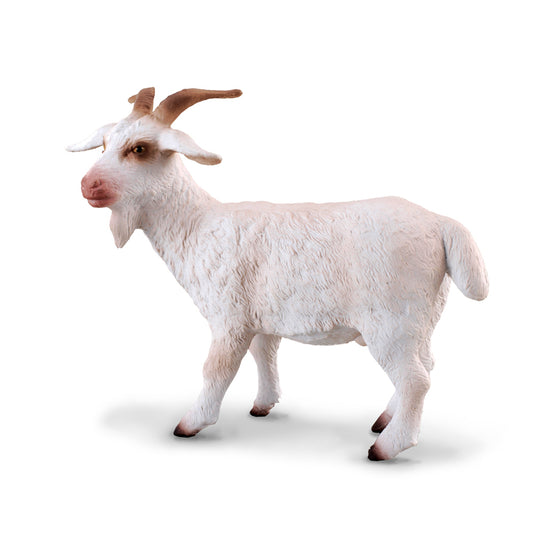 CollectA-Billy Goat