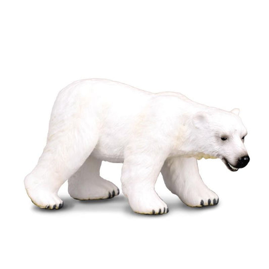 CollectA-Polar Bear(L)