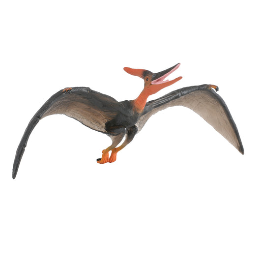 CollectA Pteranodon Large 1:40 scale