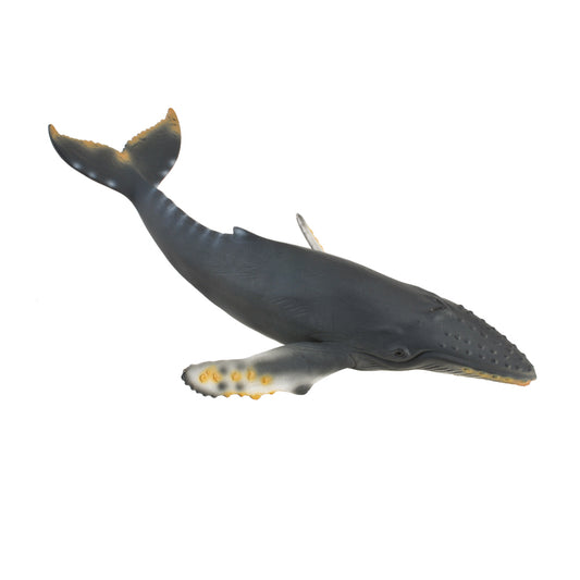 CollectA-Humpback Whale