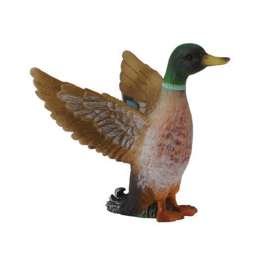 CollectA-Mallard Duck