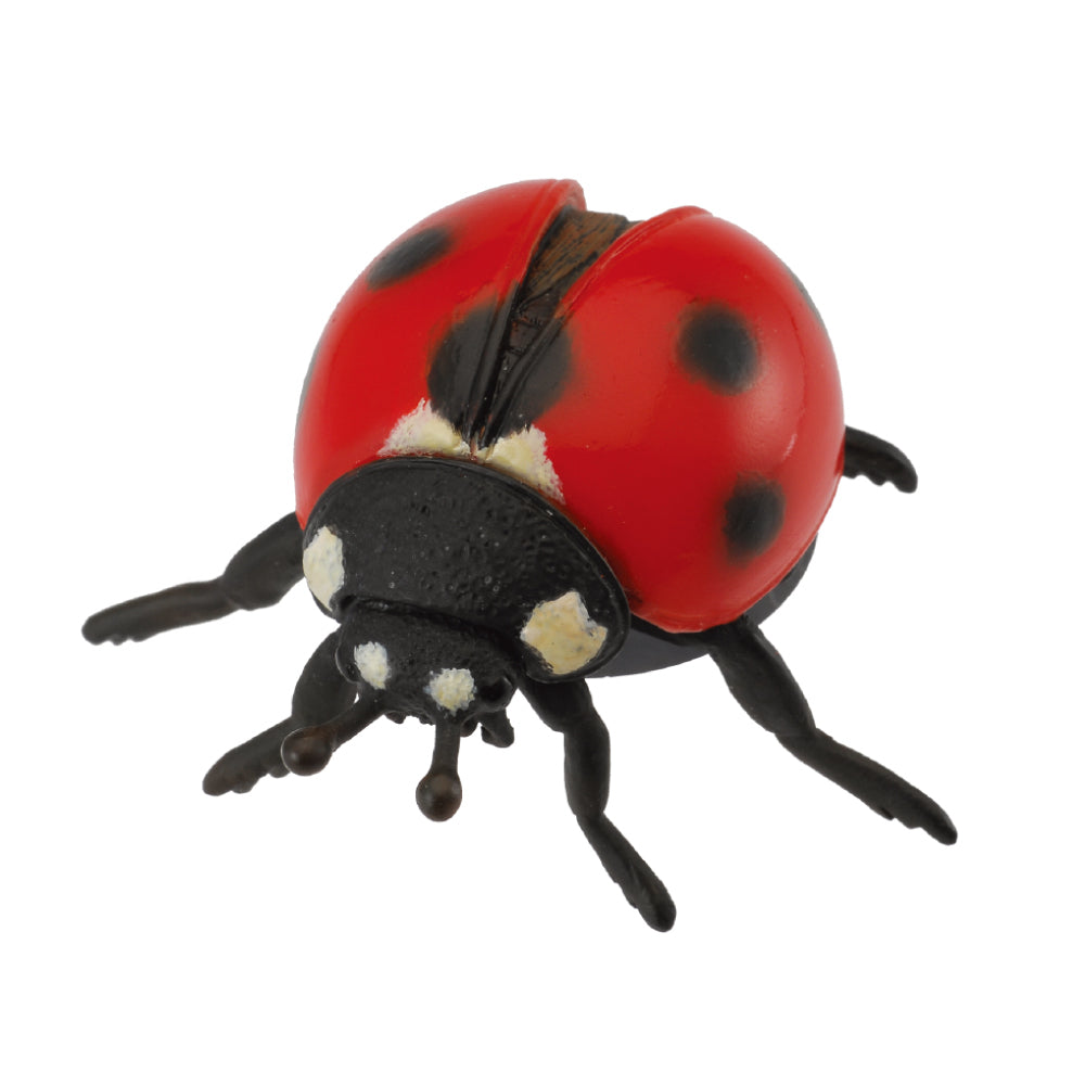 CollectA-Ladybird (M)