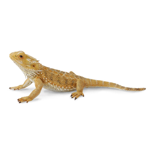 CollectA-Bearded Dragon Lizard