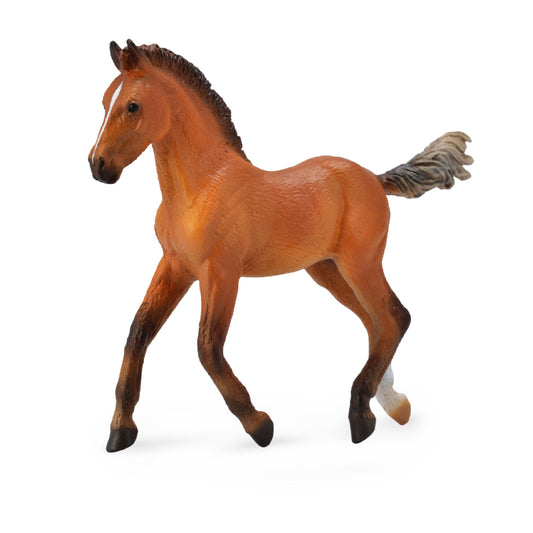 CollectA-Hanoverian Foal Bay