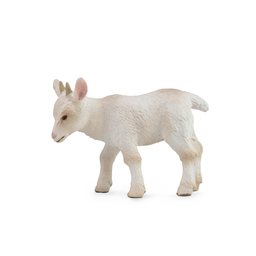 CollectA-Goat Kid