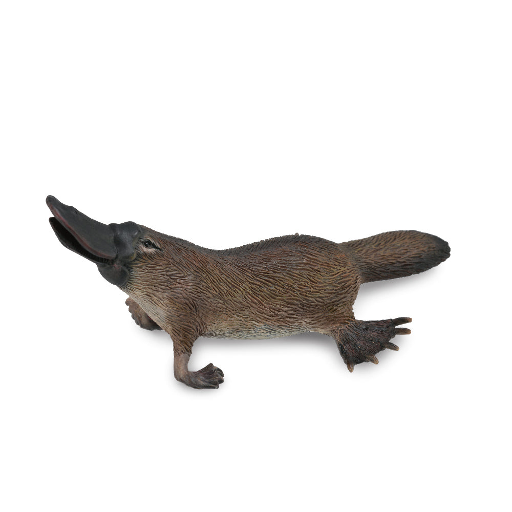 CollectA-Platypus