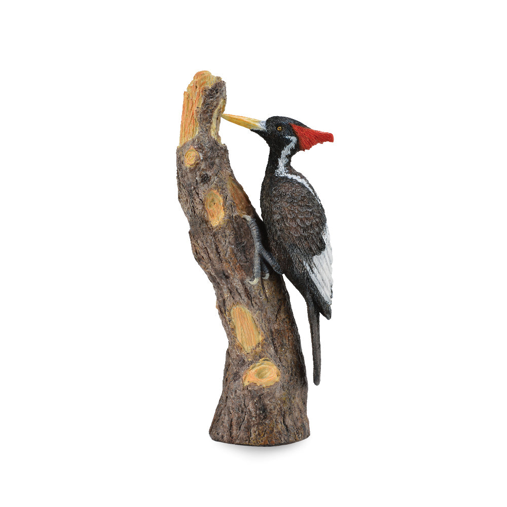 CollectA-Ivory-Billed Woodpecker