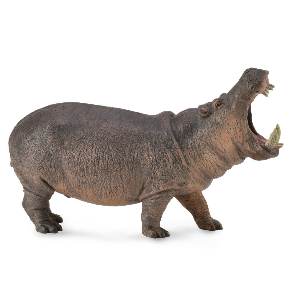 CollectA-Hippopotamus