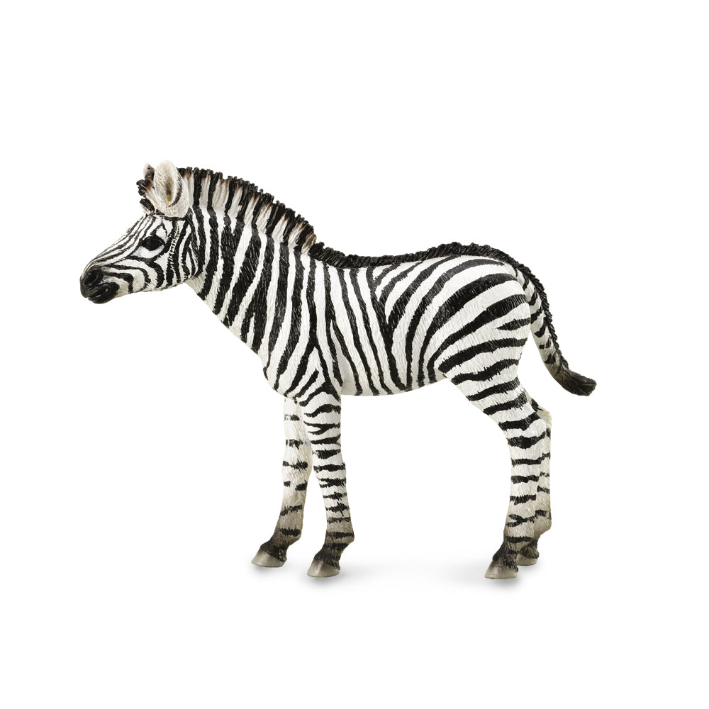 CollectA-Common Zebra Foal