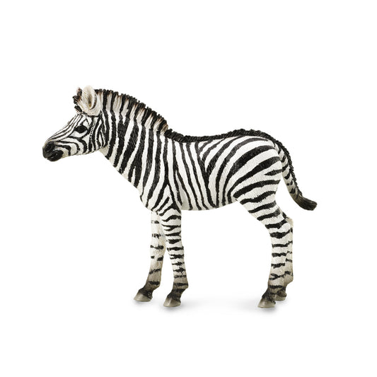 CollectA-Common Zebra Foal