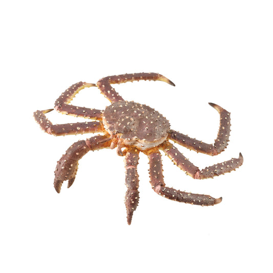 CollectA-King Crab