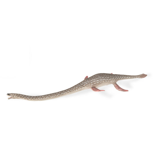 CollectA-Elasmosaurus (L)