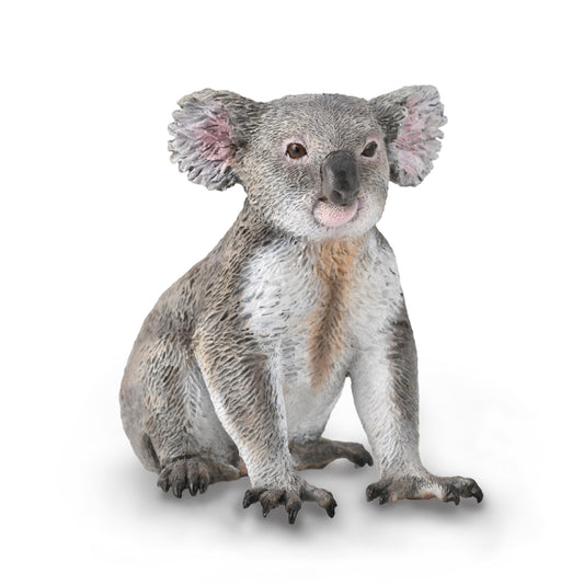 CollectA-Koala