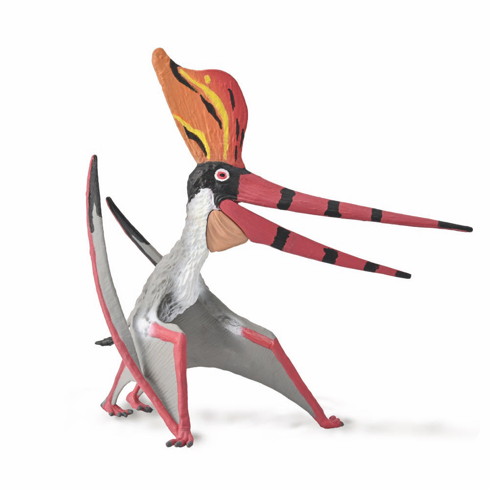 CollectA Pteranodon Sternbergi w/moving jaw