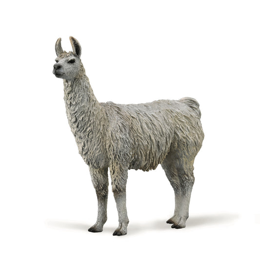CollectA-Llama