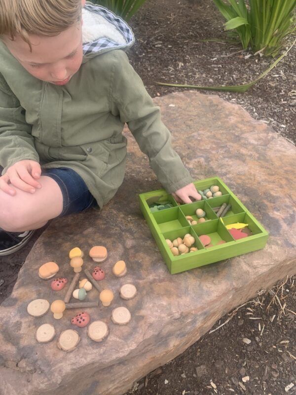 Freckled frog-Nature’s Sorting Box