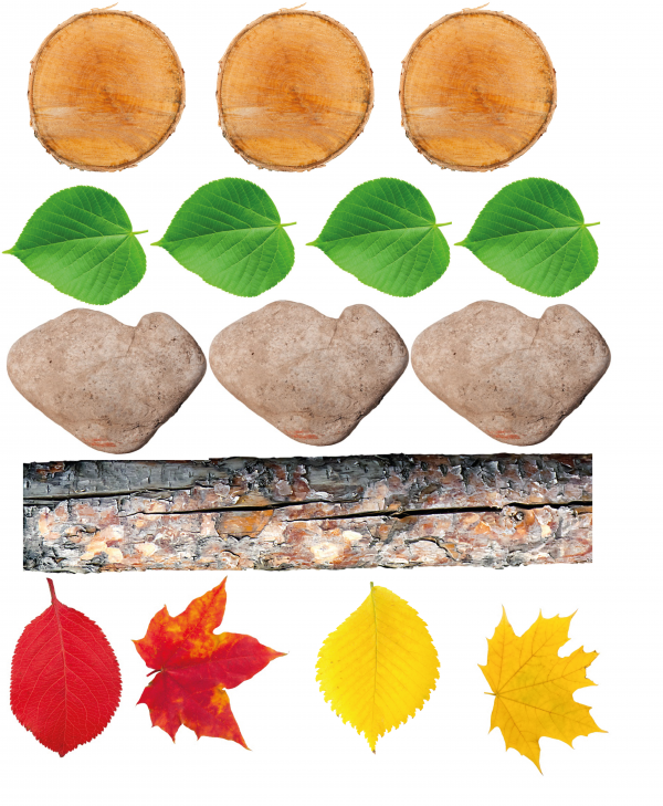 The Freckled Frog-Nature Steps 15pc