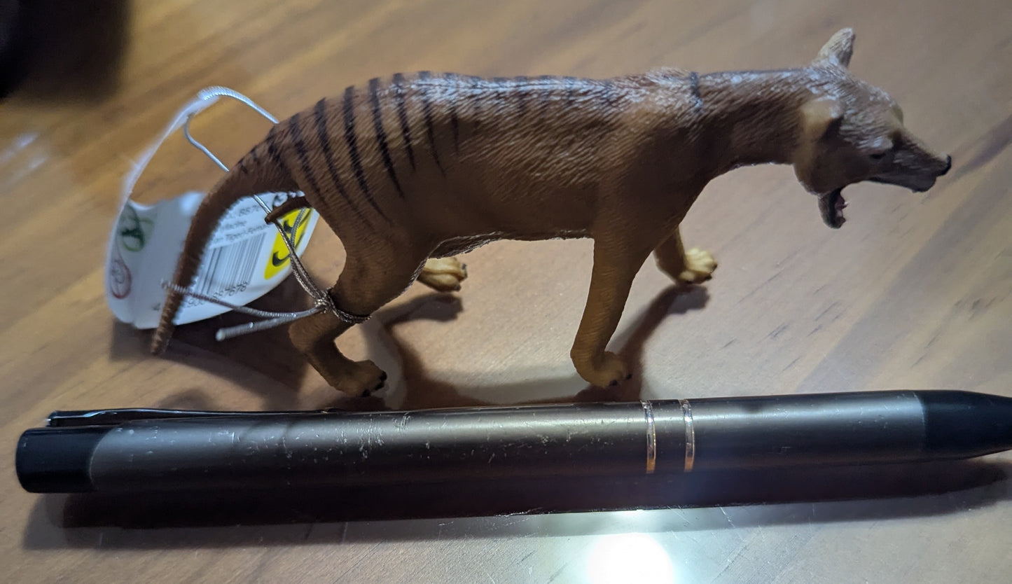 CollectA-Thylacine (Tasmanian Tiger) (L)
