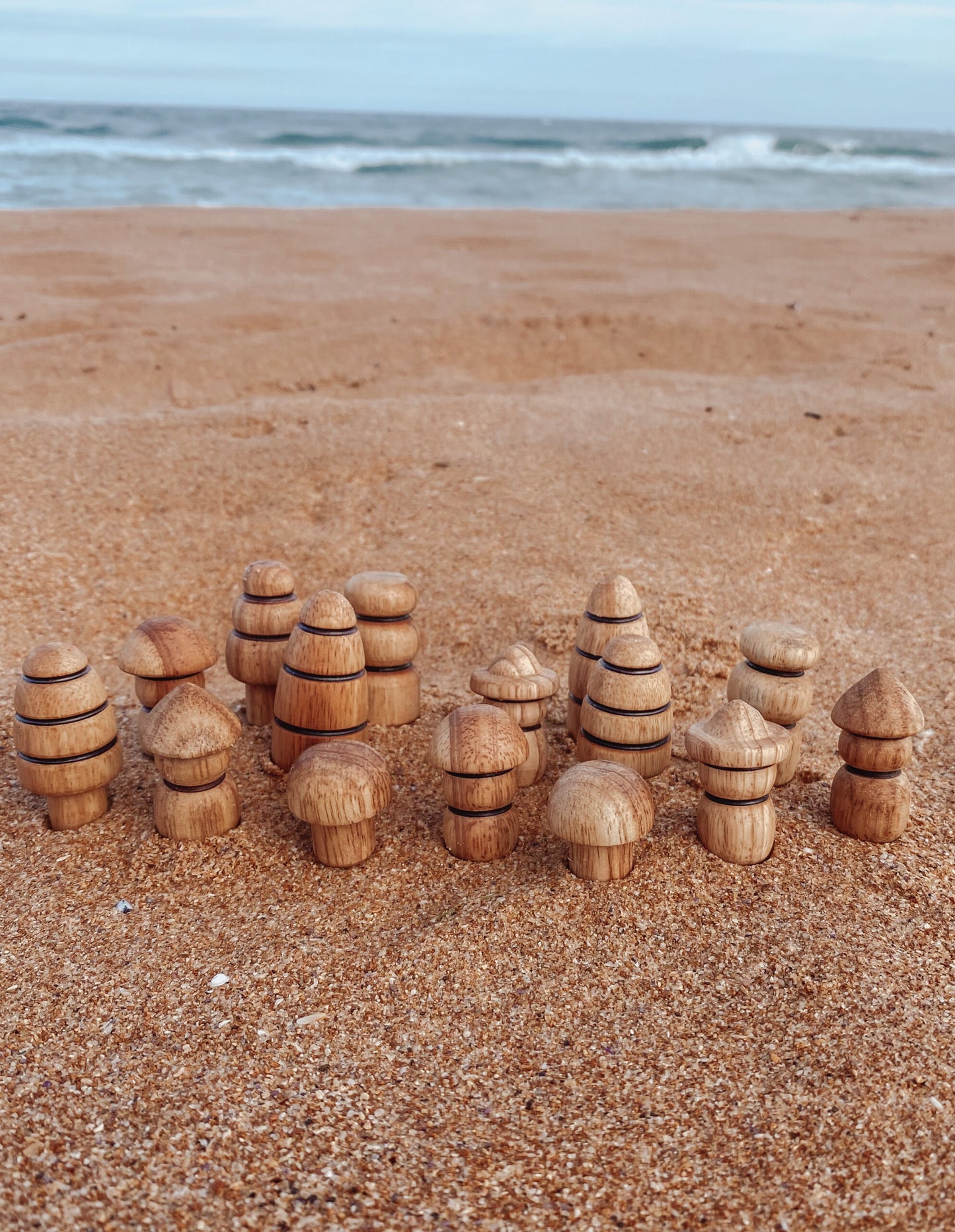 Explore Nook-Diverse Wooden Figurine Set 16pcs