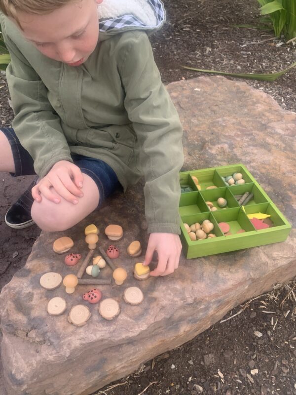 Freckled frog-Nature’s Sorting Box
