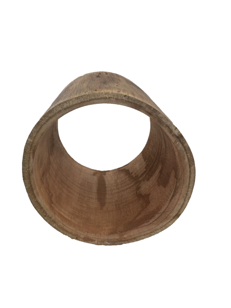 Papoose Hollow Log