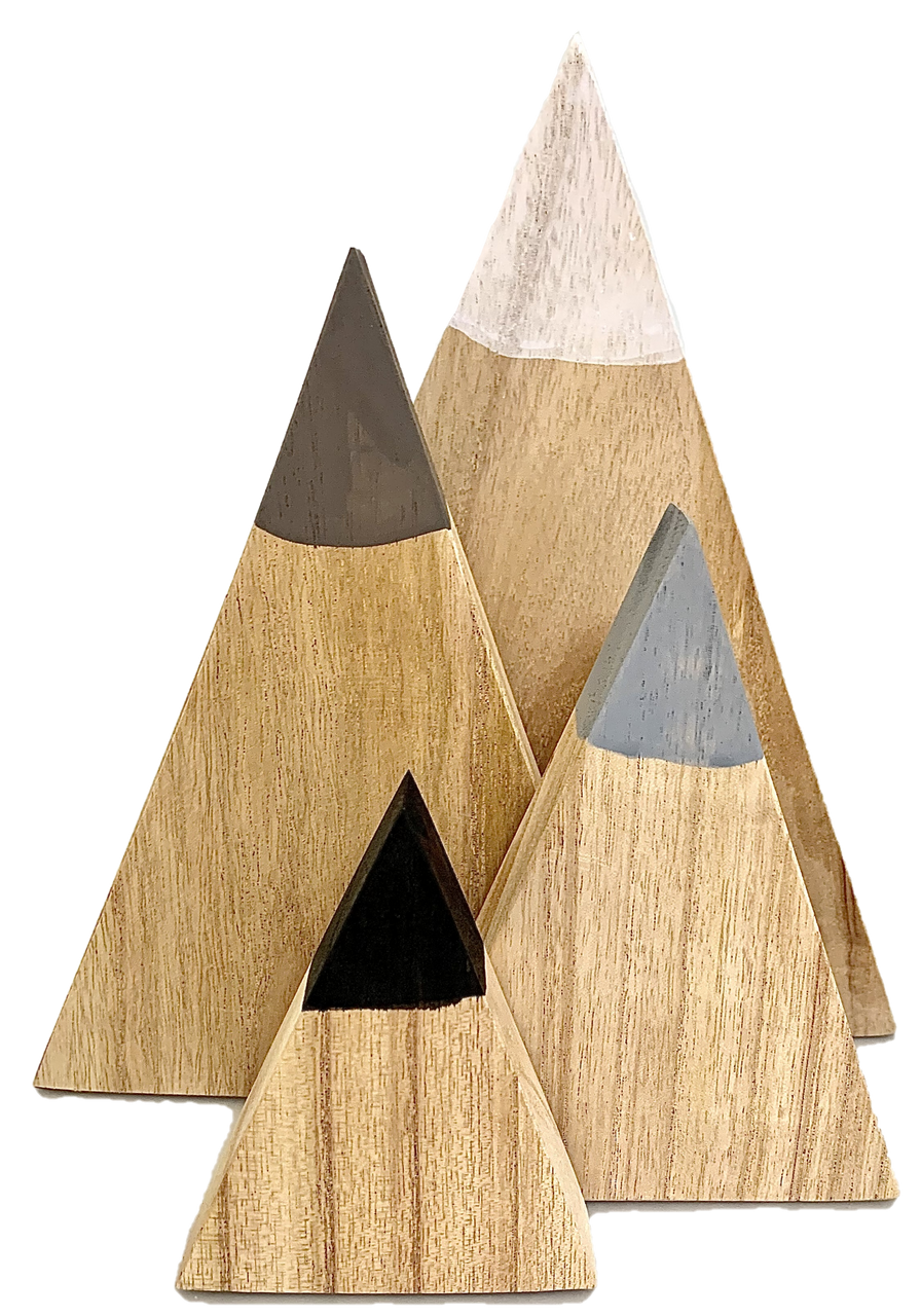 Papoose Winter Mountains/4pc