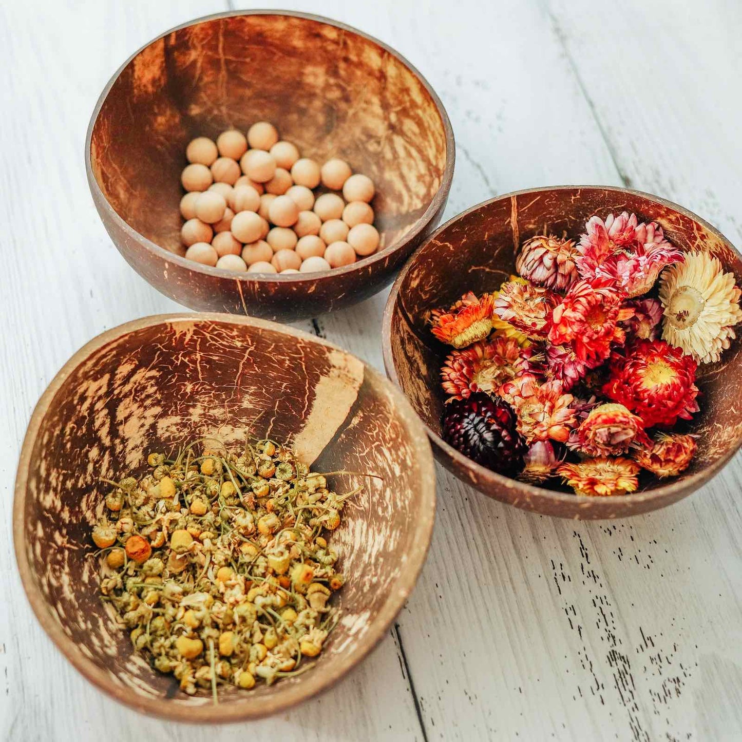Explore Nook-Coconut Natural Bowl 1pc