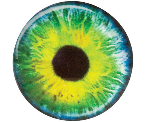 Creature Eyes 30s