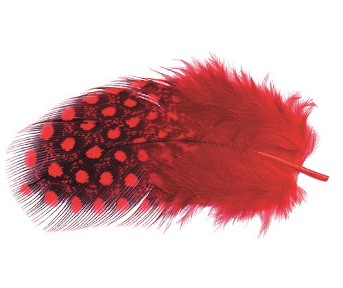 Guinea Fowl Feathers 10g Asst 100’s