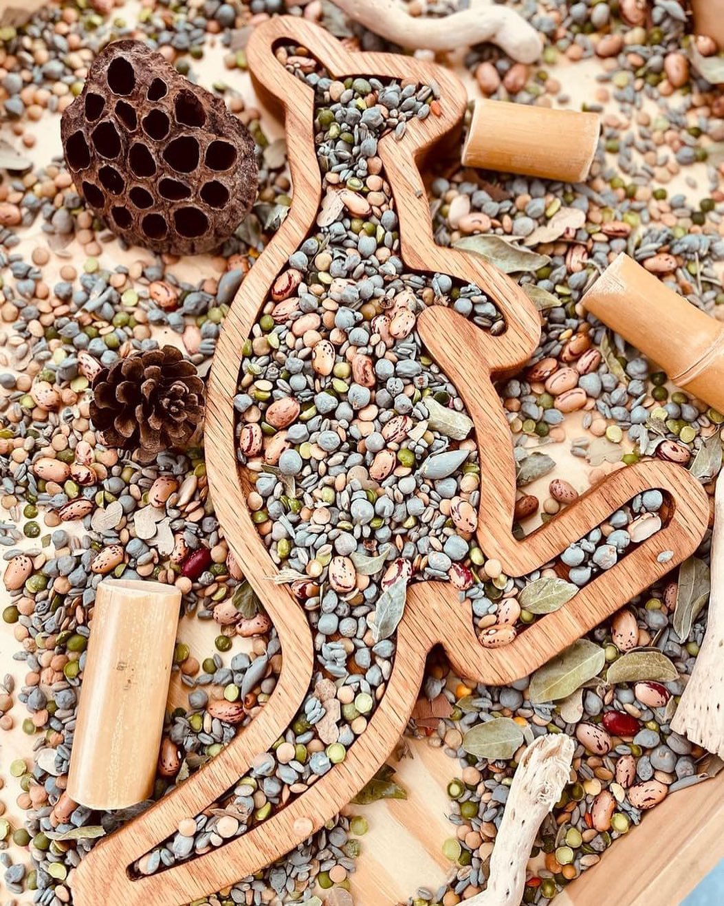 Kangaroo Sensory Tray