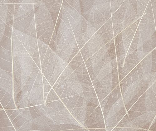 Skeleton Leaves Natural 100’s