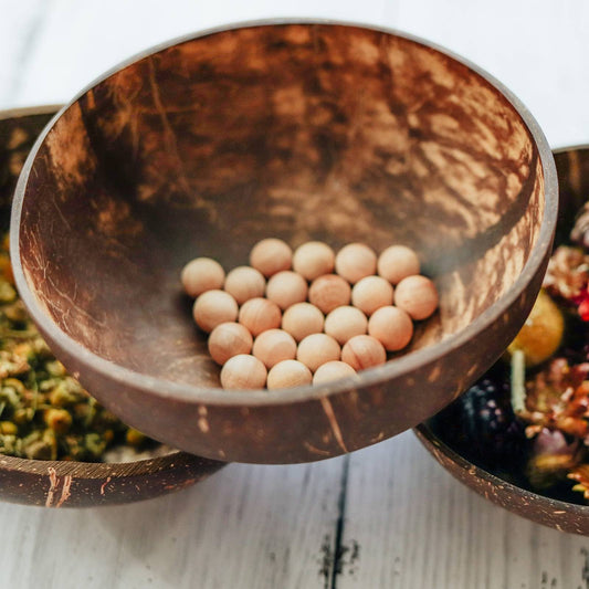 Explore Nook-Coconut Natural Bowl 1pc