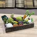 Papoose Crated Fruit Set 36pc