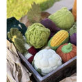Papoose Crated Vegetable Set 20pc