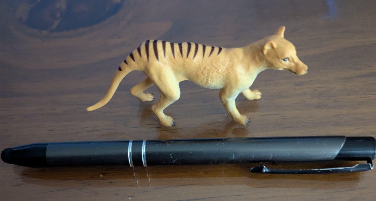 Australian Thylacine replica (Tasmanian Tiger) (small)
