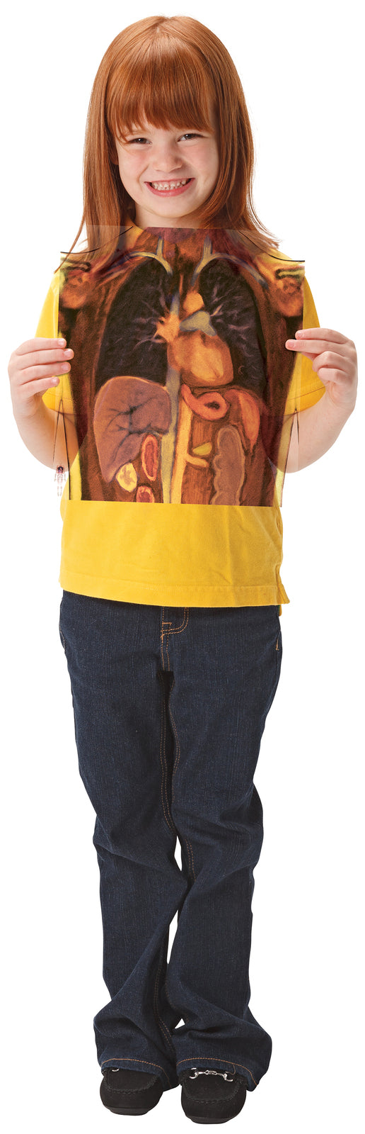 Look Inside Me MRI Scan - 18pcs