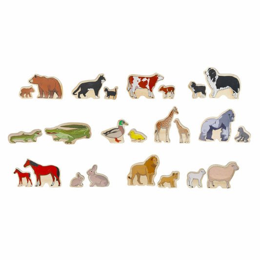 Freckled Frog- Animal Families