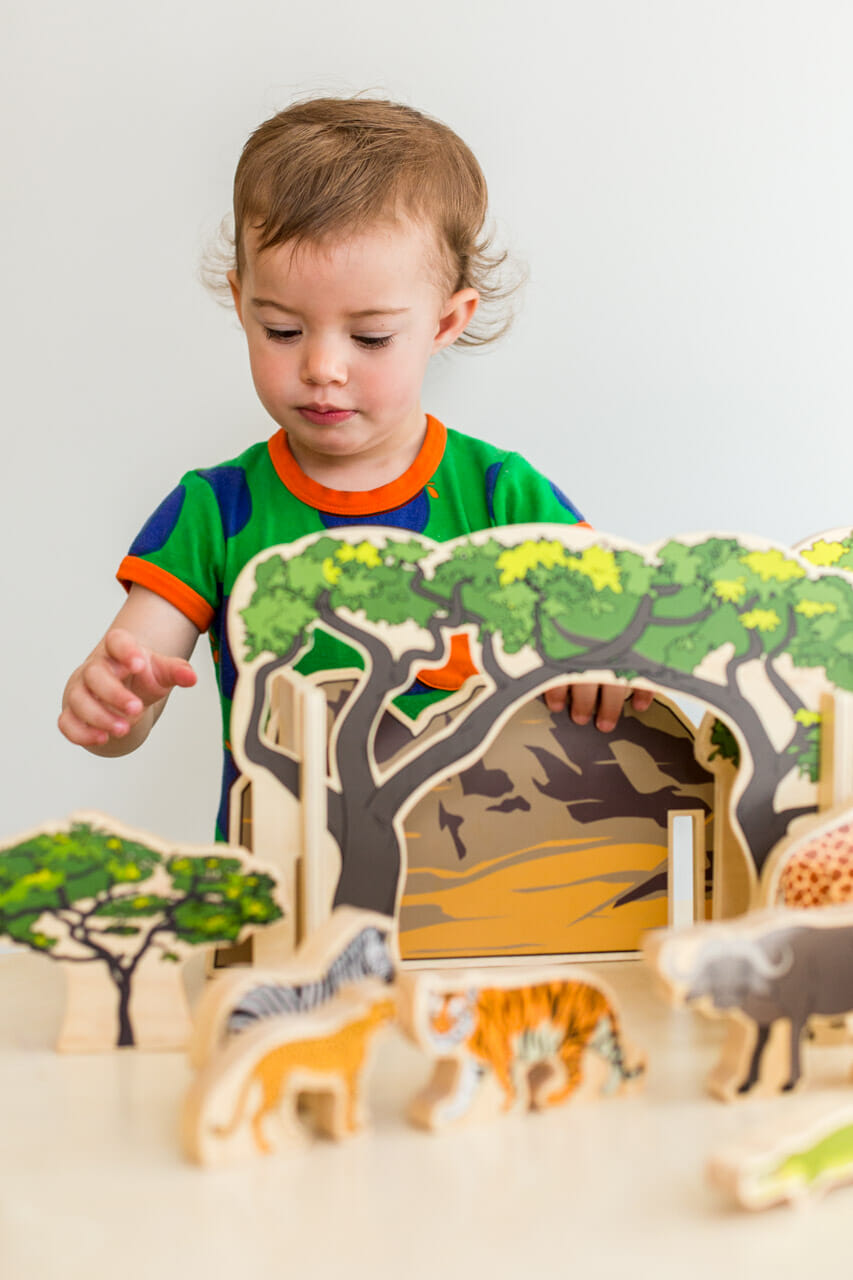 The Freckled Frog- Animals in the Wild 20pc