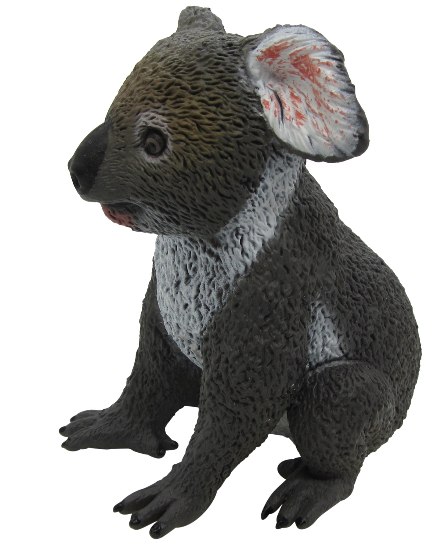 Australian Large Koala