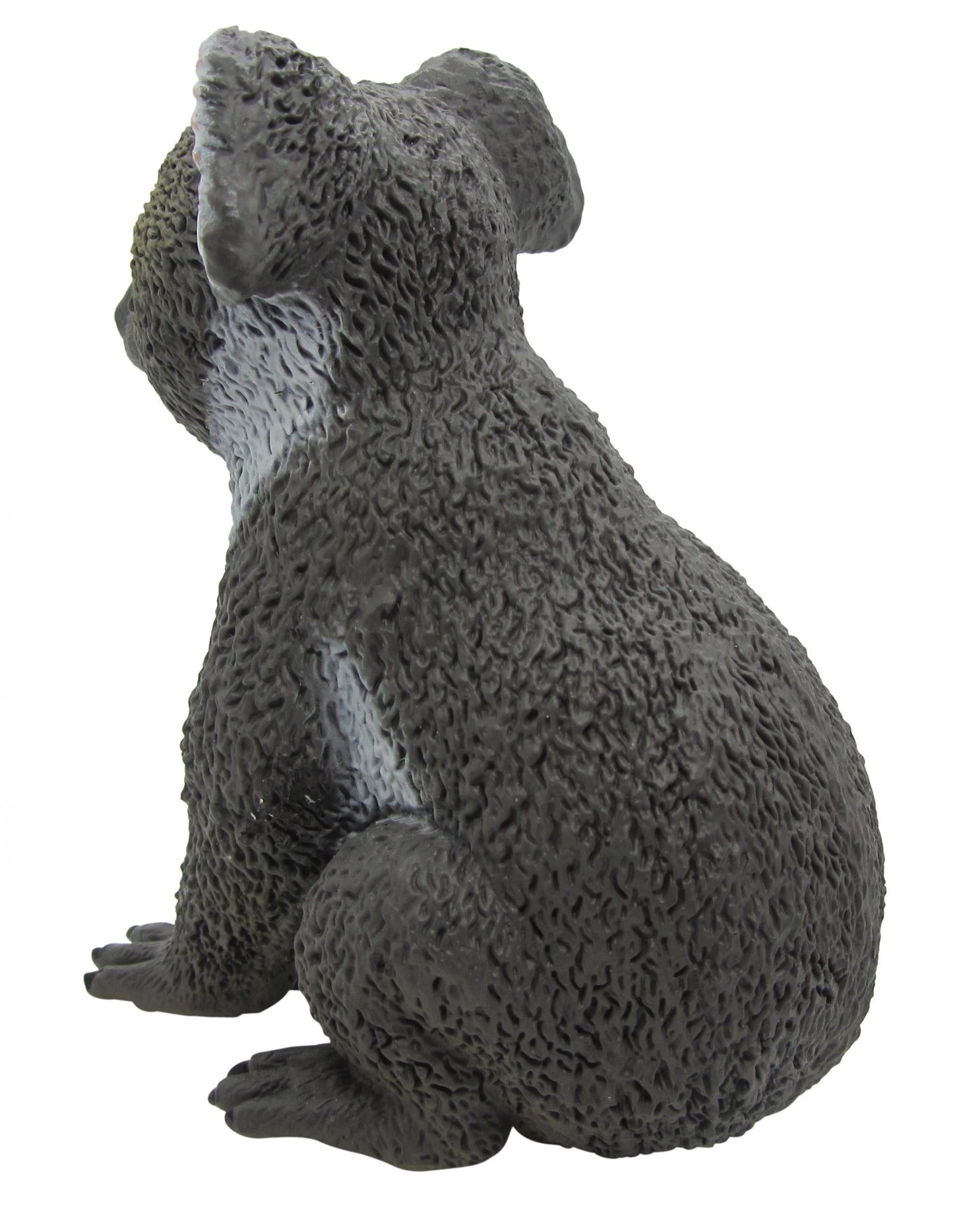 Australian Large Koala
