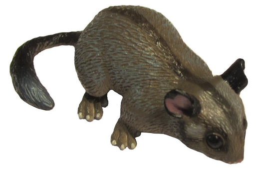 Australian Leadbeater’s Possum