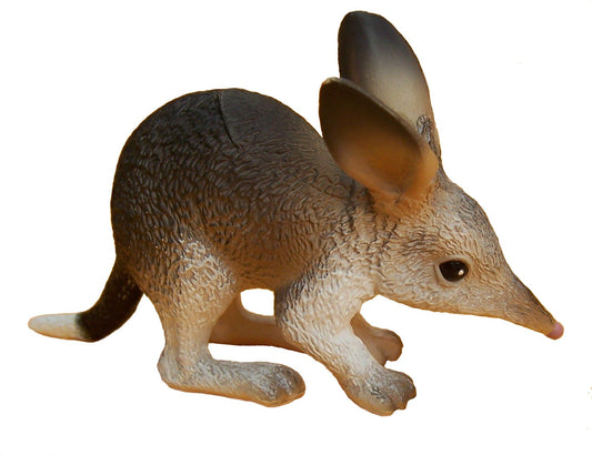 Australian Large Bilby